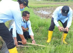 Pemulihan Saluran Irigasi Tersier Untuk Pengoptimalan Hasil Produksi Pertanian