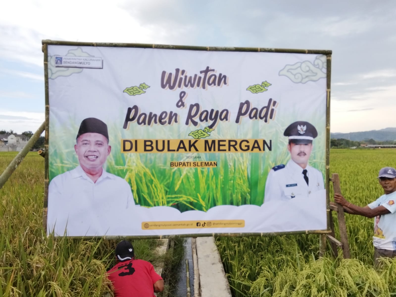 Wiwitan dan Panen Raya Padi