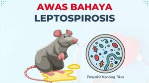 Himbauan Pencehahan Penyakit Leptospirosis dan Hantavirus