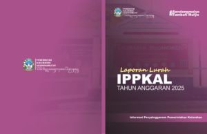 INFORMASI PENYELENGGARAAN PEMERINTAH KALURAHAN TAHUN 2025